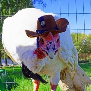 Meet your Posher, John